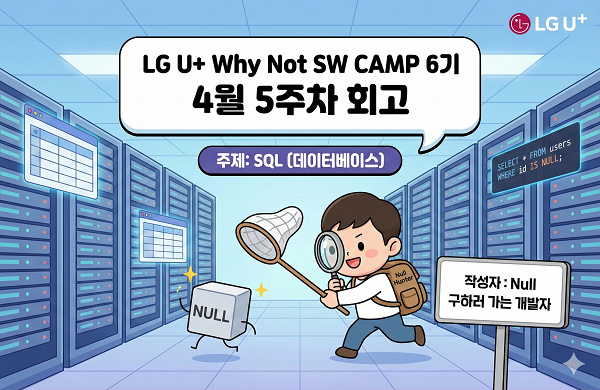 Null 구하러 가는 개발자